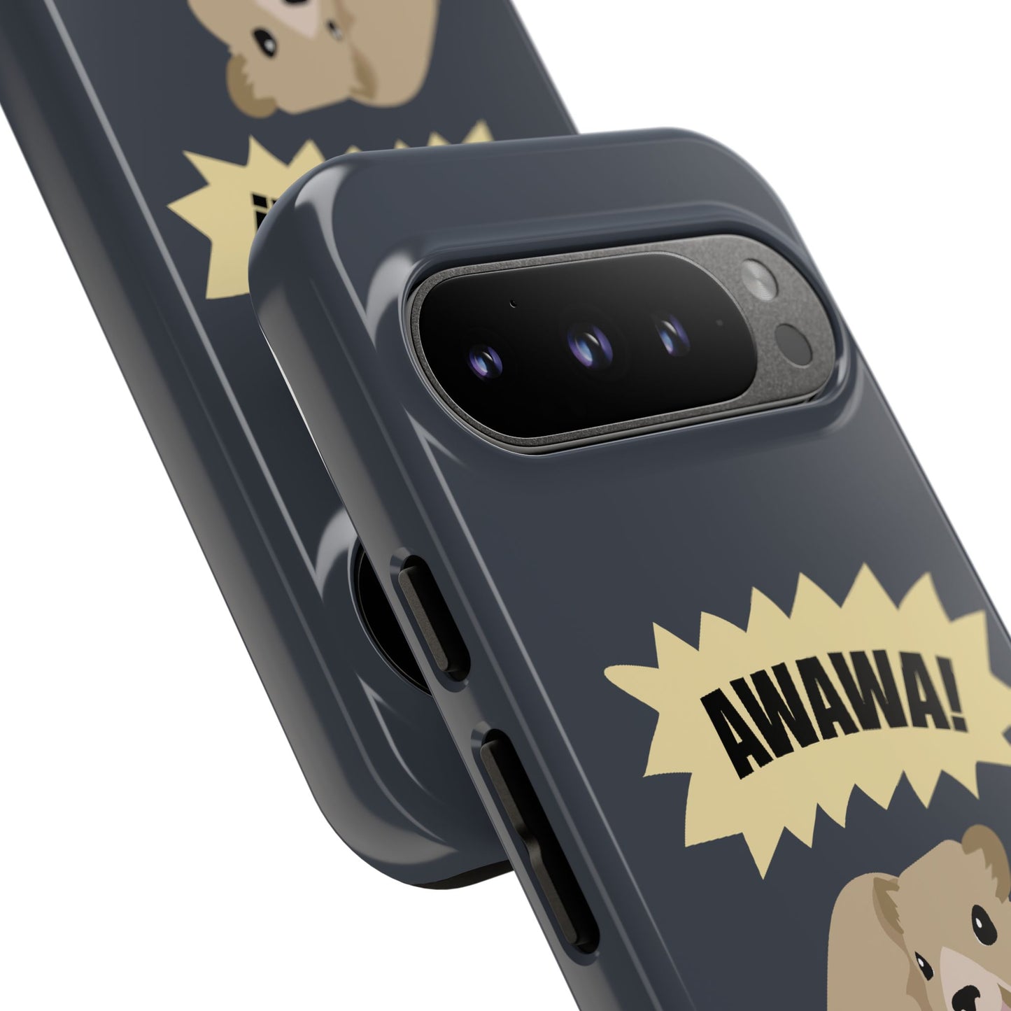 Hyrax Case