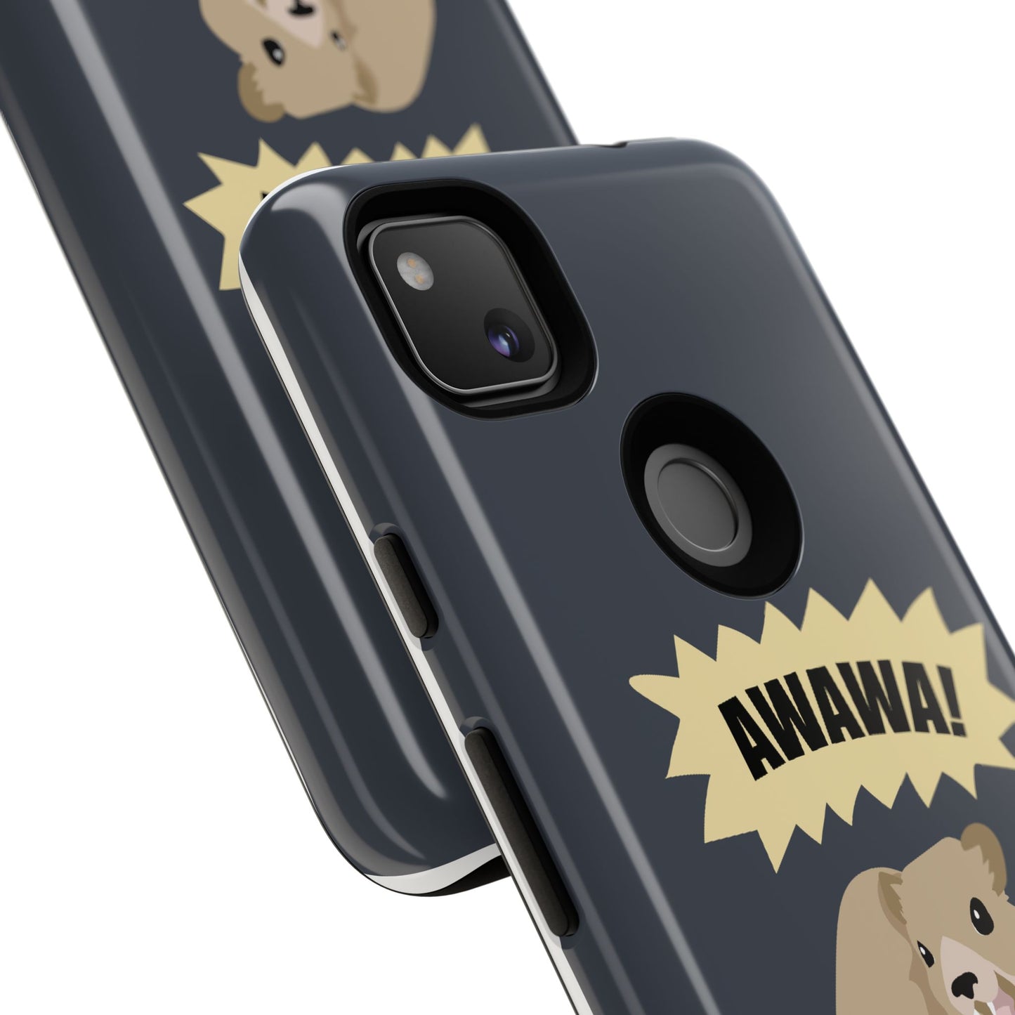 Hyrax Case