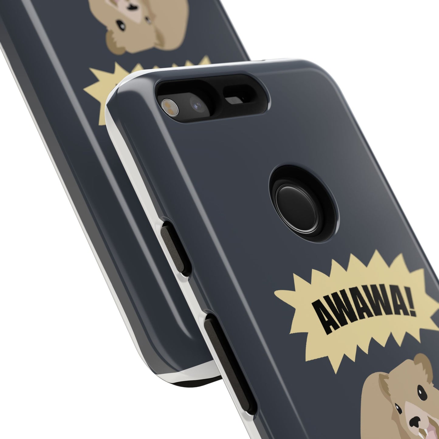 Hyrax Case